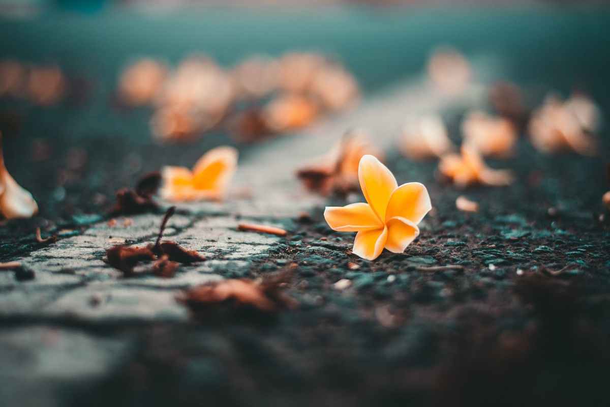 永久免费看mv网站入口app：_高清MV无字幕视频素材下载网站_目鼠网高清MV无字幕视频素材