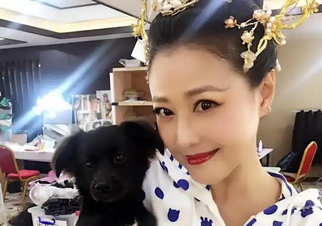 年轻女星癌症去世_女明星死了几个_朱媛媛离世消息
